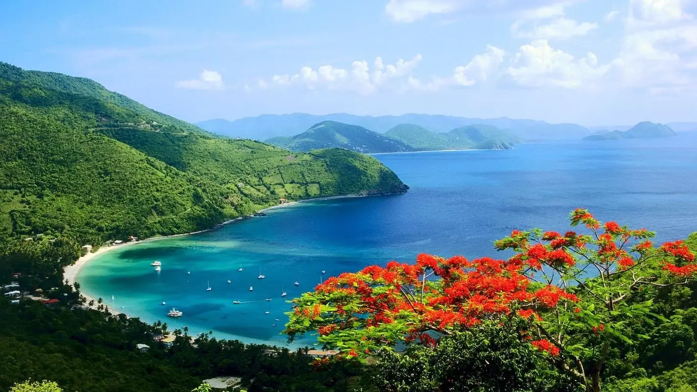 高效创意独特
